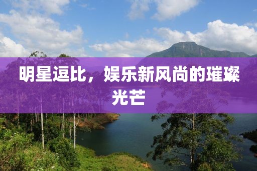 明星逗比，娱乐新风尚的璀璨光芒