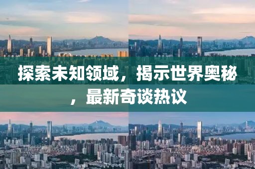 2025年2月 第81页