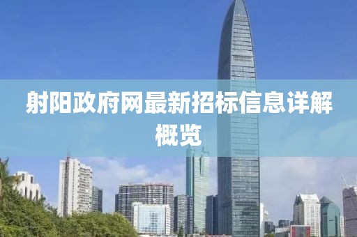 射阳政府网最新招标信息详解概览