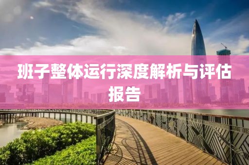 班子整体运行深度解析与评估报告