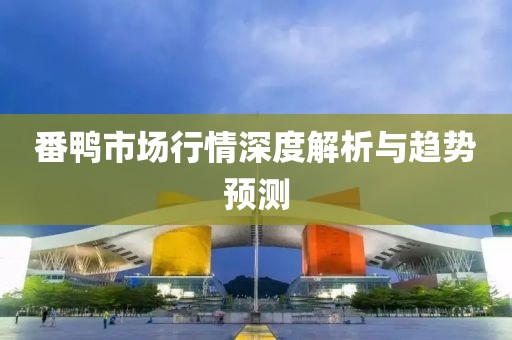 番鸭市场行情深度解析与趋势预测