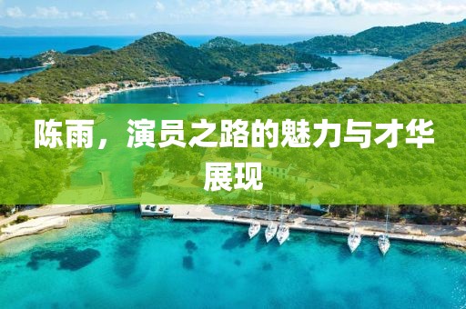 陈雨，演员之路的魅力与才华展现