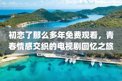 初恋了那么多年免费观看，青春情感交织的电视剧回忆之旅