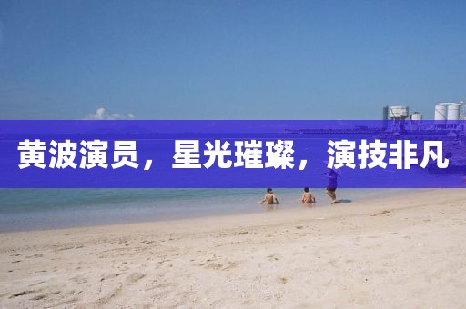 黄波演员，星光璀璨，演技非凡