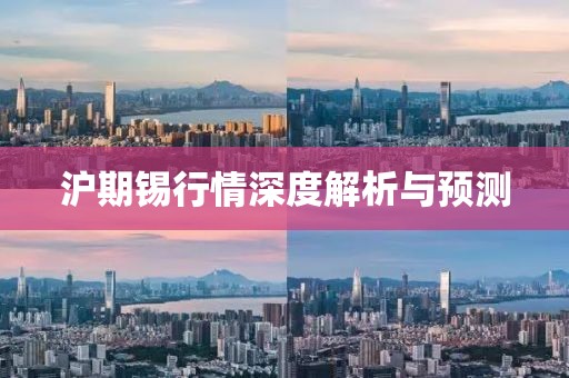 沪期锡行情深度解析与预测