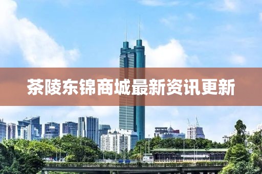 茶陵东锦商城最新资讯更新