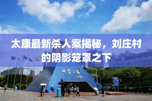太康最新杀人案揭秘，刘庄村的阴影笼罩之下