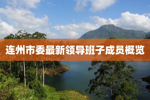 连州市委最新领导班子成员概览