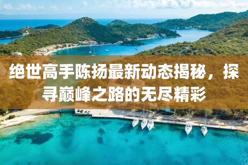 绝世高手陈扬最新动态揭秘，探寻巅峰之路的无尽精彩