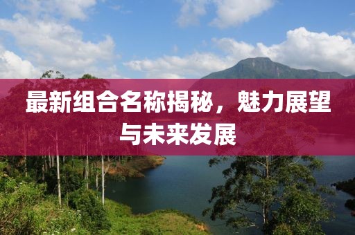 最新组合名称揭秘，魅力展望与未来发展