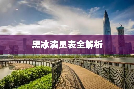 黑冰演员表全解析