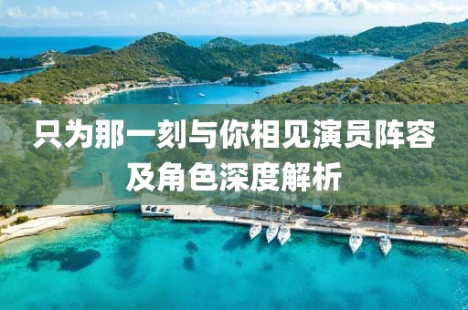 只为那一刻与你相见演员阵容及角色深度解析