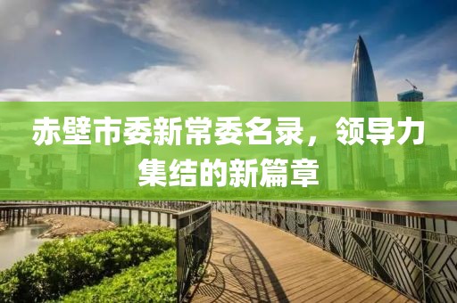 赤壁市委新常委名录，领导力集结的新篇章