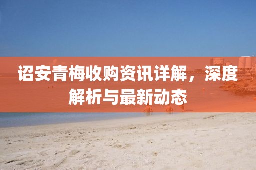 诏安青梅收购资讯详解，深度解析与最新动态