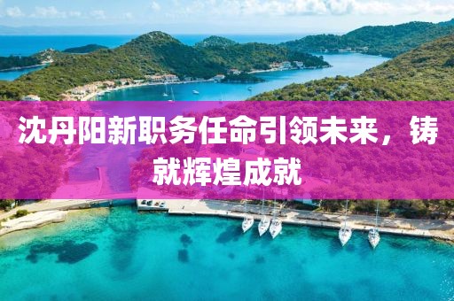 沈丹阳新职务任命引领未来，铸就辉煌成就