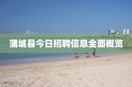 蒲城县今日招聘信息全面概览