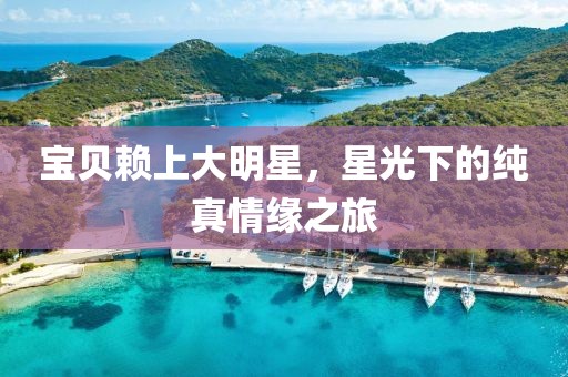 宝贝赖上大明星，星光下的纯真情缘之旅