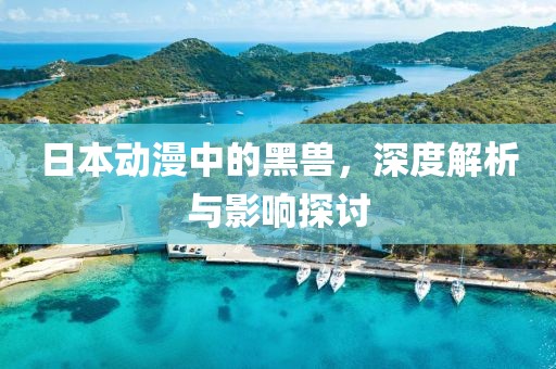 日本动漫中的黑兽，深度解析与影响探讨