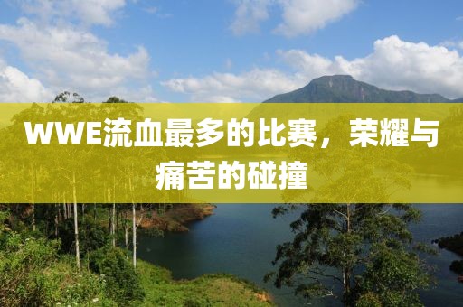 WWE流血最多的比赛，荣耀与痛苦的碰撞