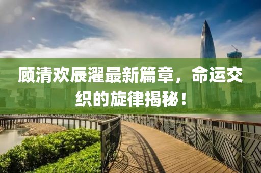 顾清欢辰濯最新篇章，命运交织的旋律揭秘！