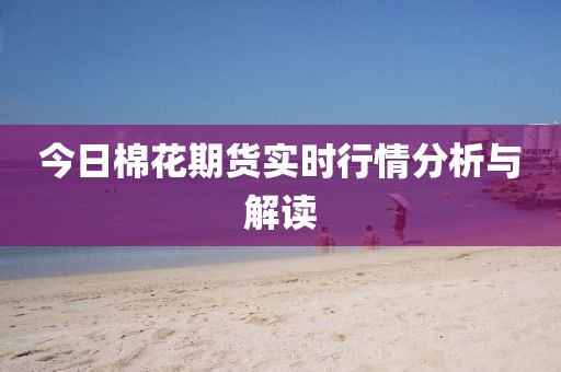 今日棉花期货实时行情分析与解读