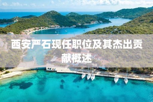 西安严石现任职位及其杰出贡献概述
