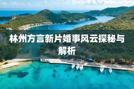 林州方言新片婚事风云探秘与解析