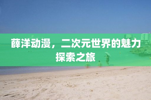 薛洋动漫，二次元世界的魅力探索之旅