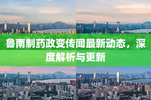 鲁南制药政变传闻最新动态，深度解析与更新
