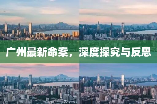 广州最新命案，深度探究与反思