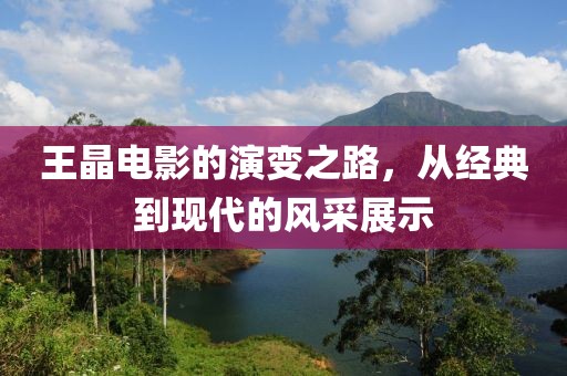王晶电影的演变之路，从经典到现代的风采展示