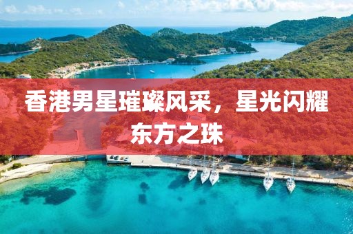 香港男星璀璨风采，星光闪耀东方之珠