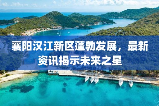 襄阳汉江新区蓬勃发展，最新资讯揭示未来之星