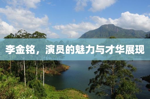 李金铭，演员的魅力与才华展现