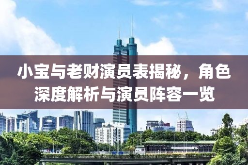 小宝与老财演员表揭秘，角色深度解析与演员阵容一览