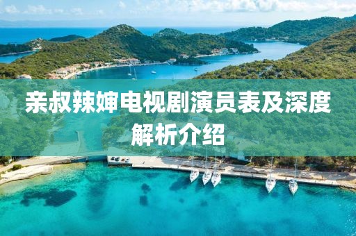 亲叔辣婶电视剧演员表及深度解析介绍