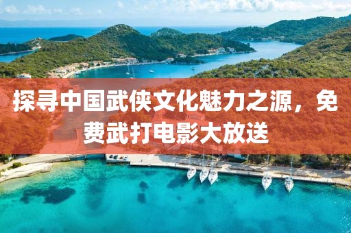探寻中国武侠文化魅力之源，免费武打电影大放送