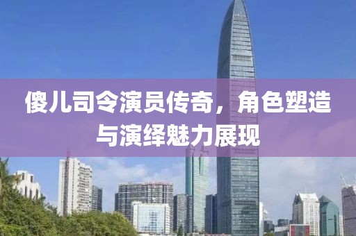 傻儿司令演员传奇，角色塑造与演绎魅力展现