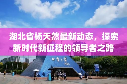 湖北省杨天然最新动态，探索新时代新征程的领导者之路