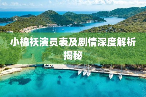 小棉袄演员表及剧情深度解析揭秘
