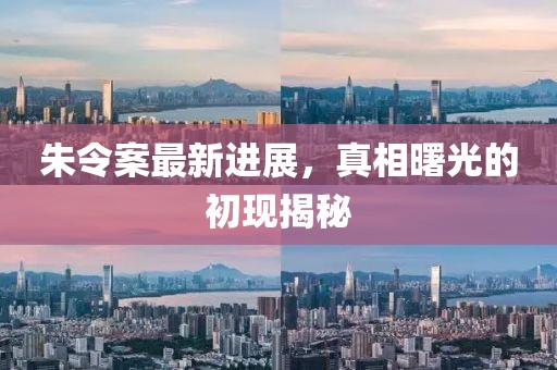 朱令案最新进展，真相曙光的初现揭秘