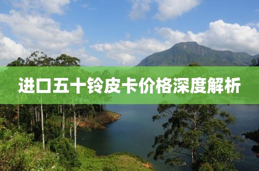 进口五十铃皮卡价格深度解析