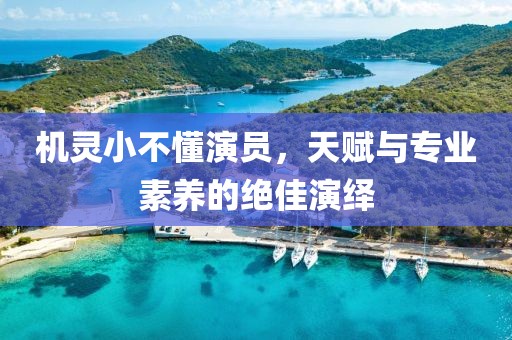 机灵小不懂演员，天赋与专业素养的绝佳演绎