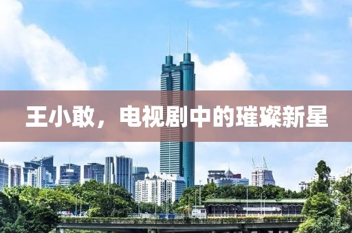 王小敢，电视剧中的璀璨新星