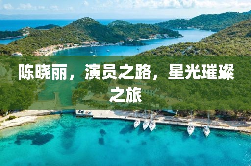 陈晓丽，演员之路，星光璀璨之旅