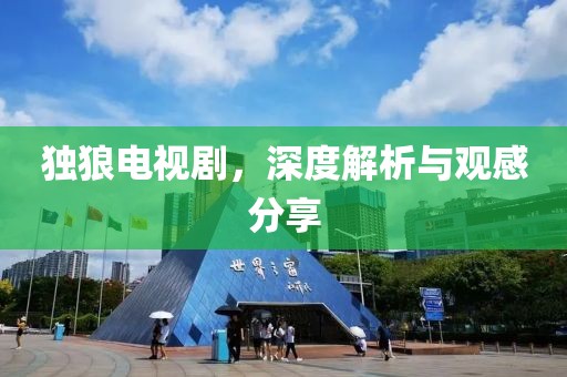 独狼电视剧，深度解析与观感分享