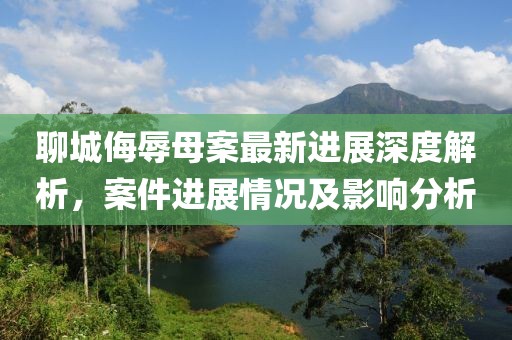 聊城侮辱母案最新进展深度解析，案件进展情况及影响分析