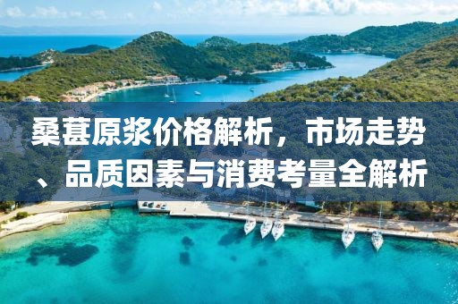 桑葚原浆价格解析，市场走势、品质因素与消费考量全解析