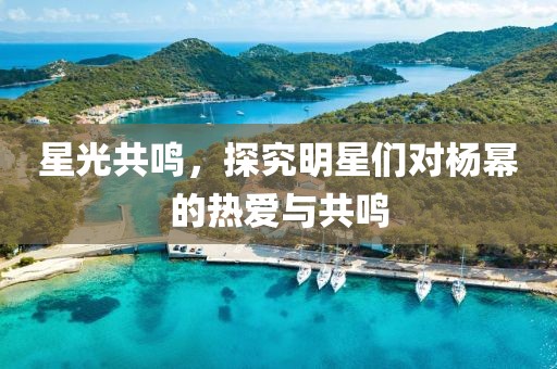 星光共鸣，探究明星们对杨幂的热爱与共鸣