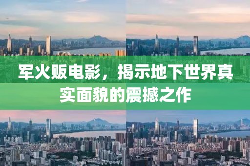 军火贩电影，揭示地下世界真实面貌的震撼之作